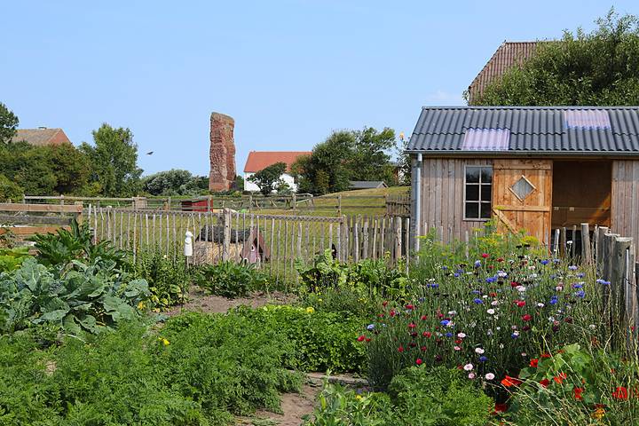 Bauernhof für 2 Personen, mit Garten und Sauna in Schleswig-Holstein - 4