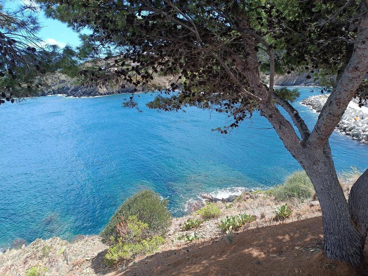 Appartement entier, Two-Bedroom Apartment in Côte Vermeille, Cerbère