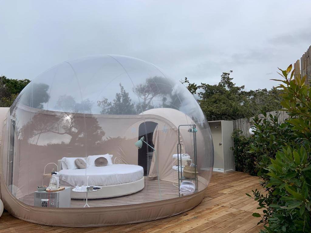 Bubble Room Tuscany in Marina di Bibbona, Bibbona
