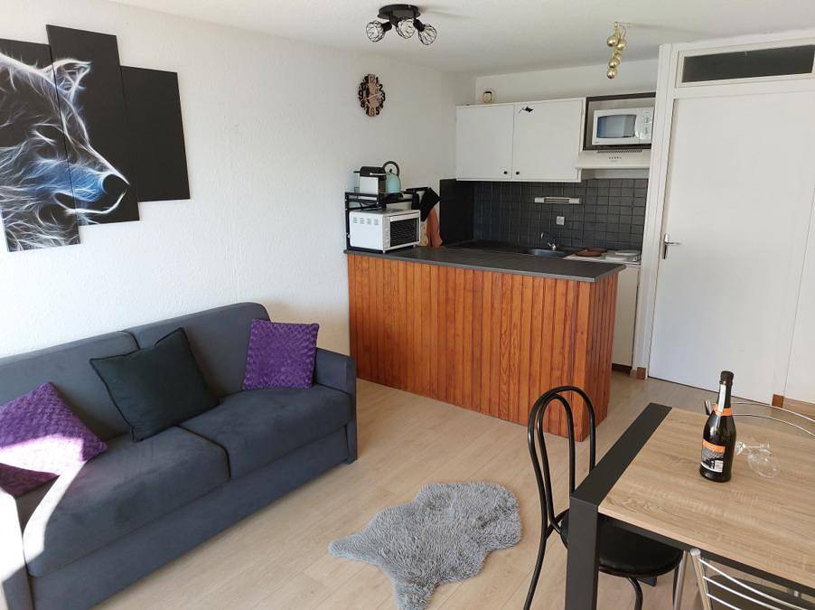 Studio entier, Résidence La Rochaille Ii - Studio coin montagne 4 personnes (526) in Pra-Loup (station de ski), Pra-Loup