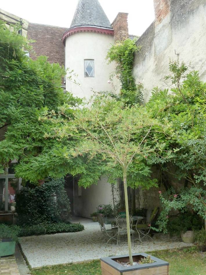 Gîte pour 5 personnes, avec terrasse et jardin à Richelieu - 2