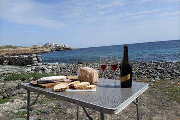 Camping para 2 Personas en San Miguel de Abona, Tenerife Sur, Foto 4