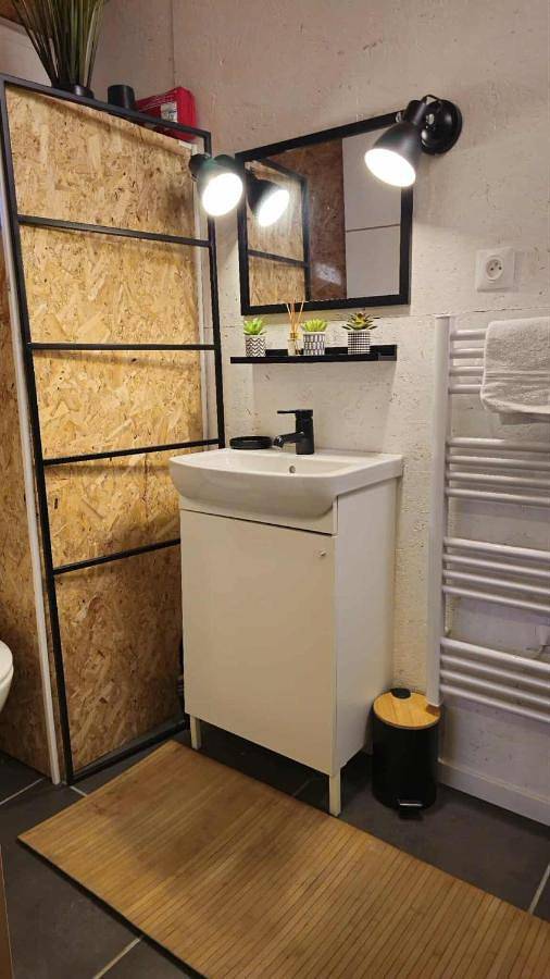 Gîte pour 3 personnes, avec jardin et terrasse, animaux acceptés à Lamotte-Beuvron - 4