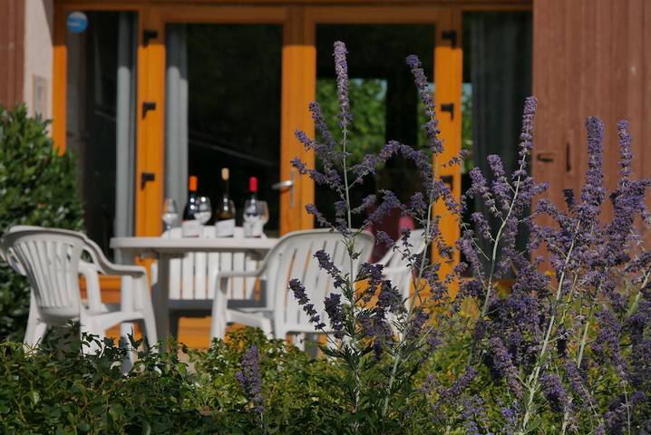 Gîte pour 18 personnes, avec terrasse, animaux acceptés dans Rhône - 3