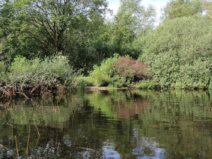 Ferienhaus für 6 Personen, mit Terrasse, mit Haustier in Kvie Sø - 4