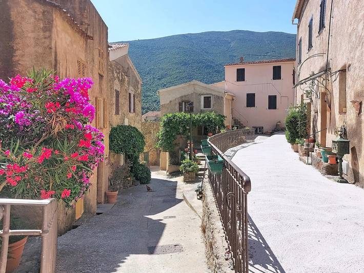 Location de vacances pour 4 personnes, avec Terrasse à Palasca - 4
