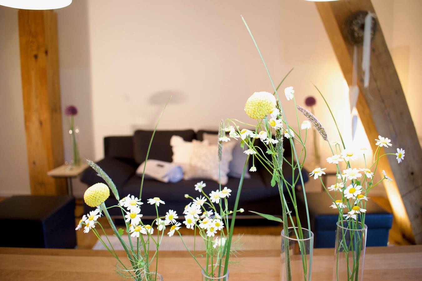 Ganze Wohnung, Ferienwohnung '2 Natursuite' mit Bergblick, Gemeinschaftsgarten und Wi-Fi in Furtwangen, Mittlerer Schwarzwald