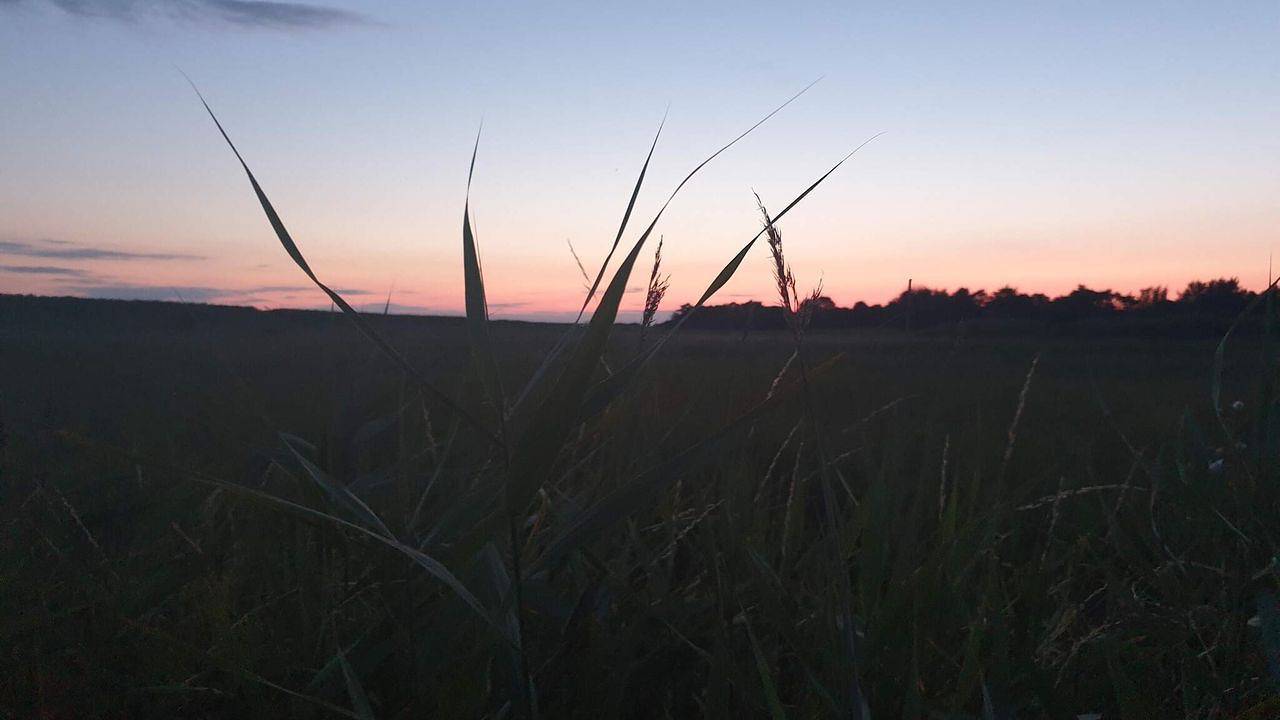 Ferienhaus für 8 Personen (88 m²) in Rødby in Rødby, Schwedische Ostsee