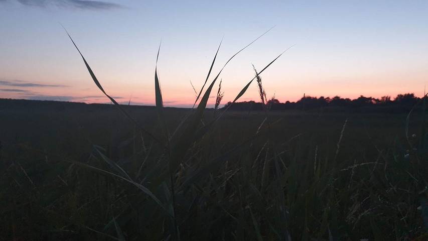 Ferienhaus für 9 Personen, mit Terrasse und Whirlpool, mit Haustier in Lolland - 4