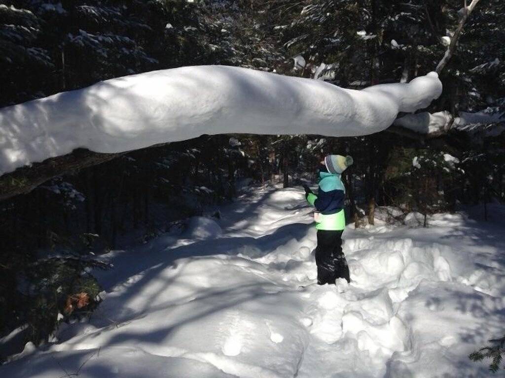 Black Bear Lodge - Open Memorial Day Wochenende & 4. Juli 2019! in Crawford County