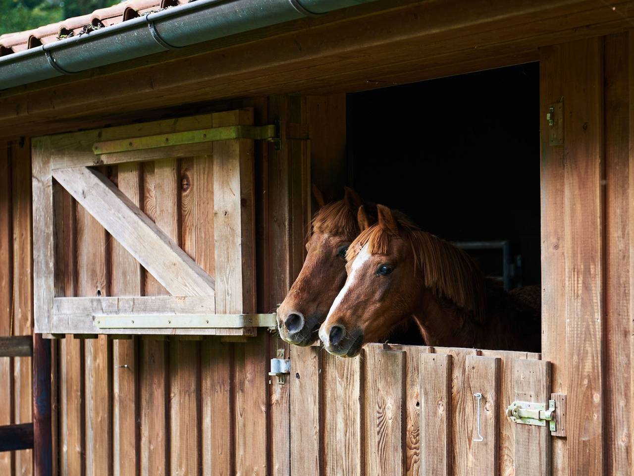 Ferienwohnung Smart am Park 35670 — Bild 3
