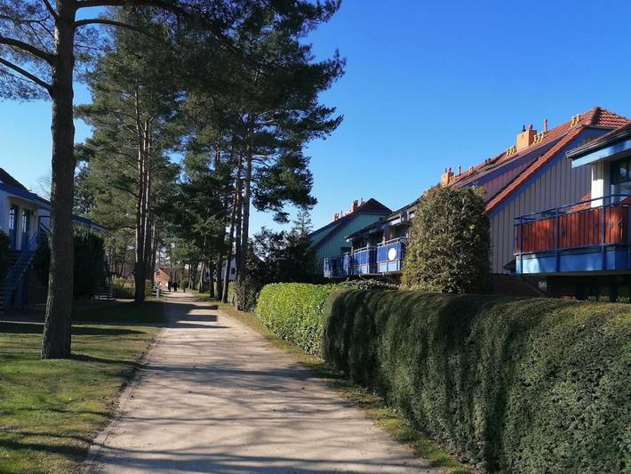 Bungalow für 4 Personen, mit Terrasse in Boltenhagen - 3