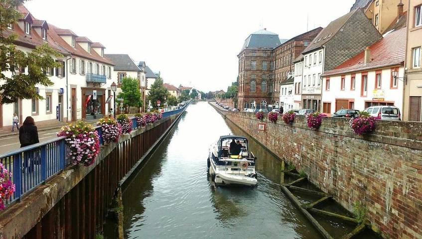 Gîte pour 3 personnes, avec terrasse à Saverne - 2