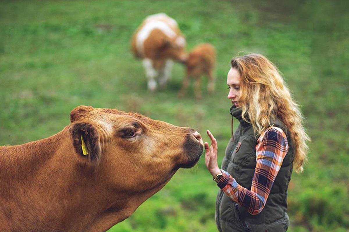 Bauernhof für 2 Personen in Kirchzell, Main-Odenwald