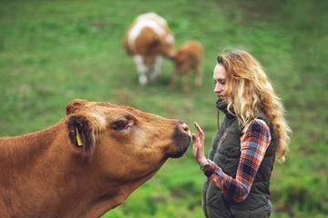 Ferienhaus für 2 Personen, mit Balkon in Main-Odenwald