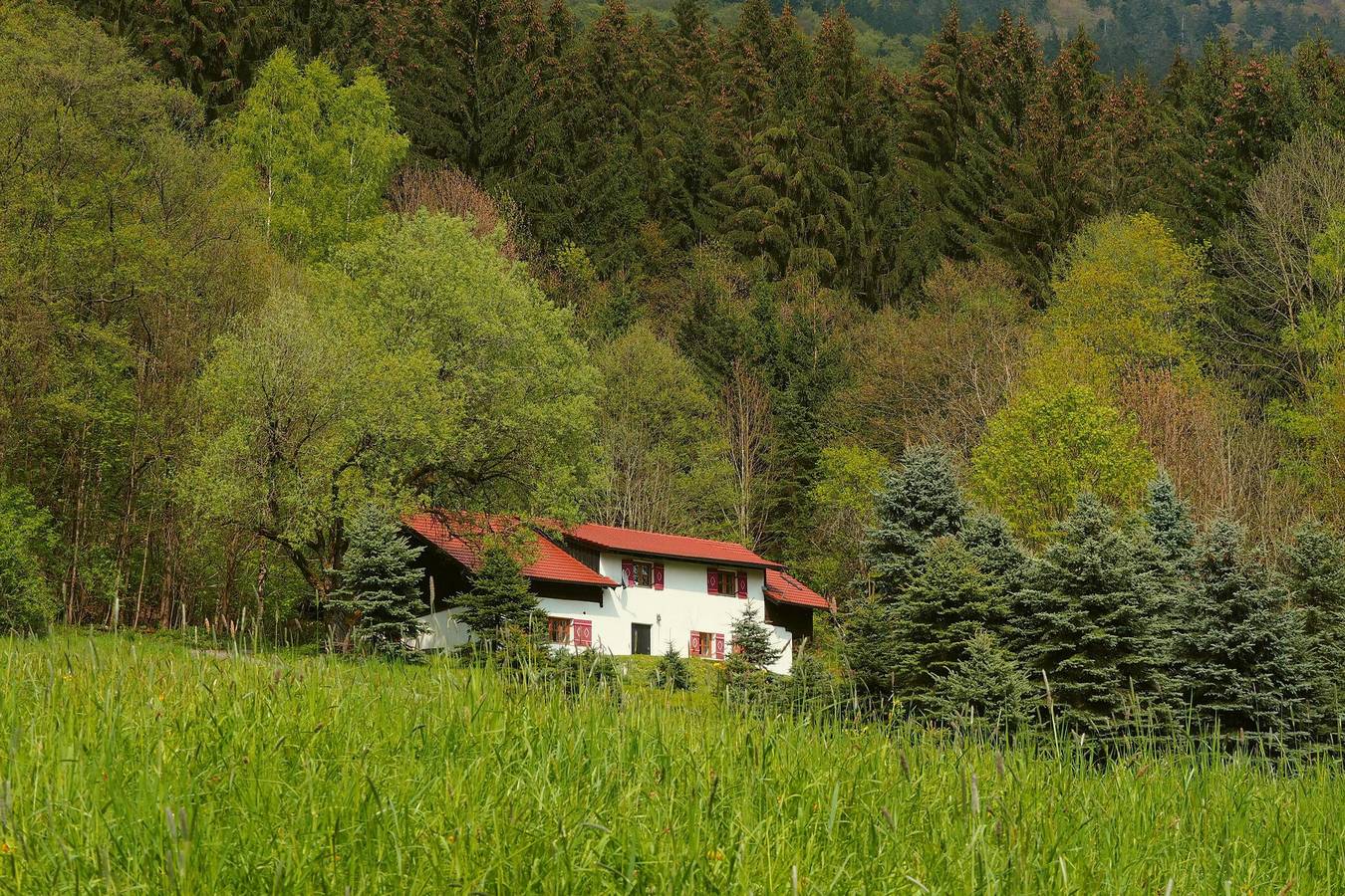 Ferienhaus Bernried-Böbrach - Ferienhaus Bayernhaus in Bernried, Ostbayern