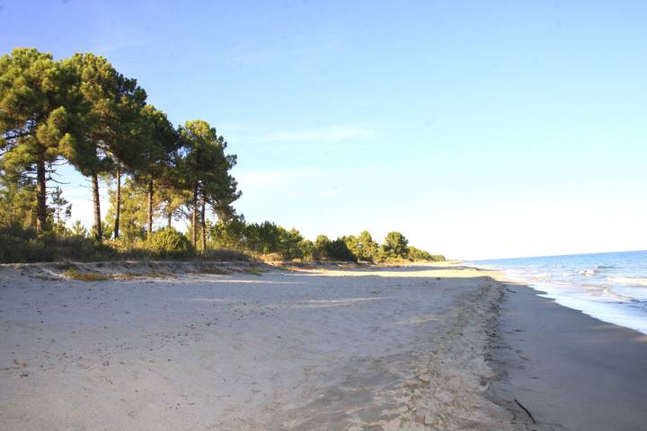 Gîte pour 3 personnes, avec vue et balcon à Ghisonaccia - 3