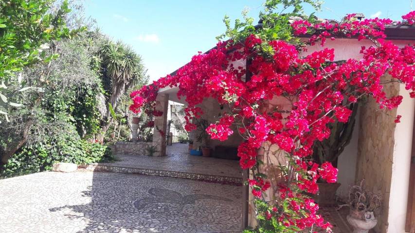 Location de vacances pour 10 personnes, avec jardin et vue à Copertino - 2