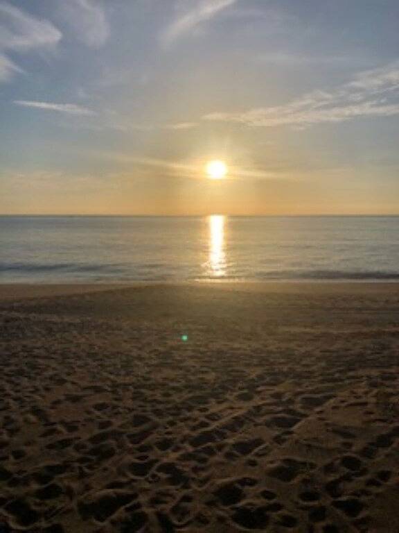 Ganze Wohnung, Flirt with the Flamingos in Beach Bliss ~Just Steps to the Sand and Ocean in Fort Pierce, Hutchinson Island