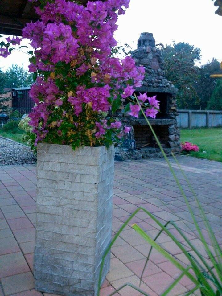 Ganze Ferienwohnung, Markert in Loose, Rendsburg-Eckernförde