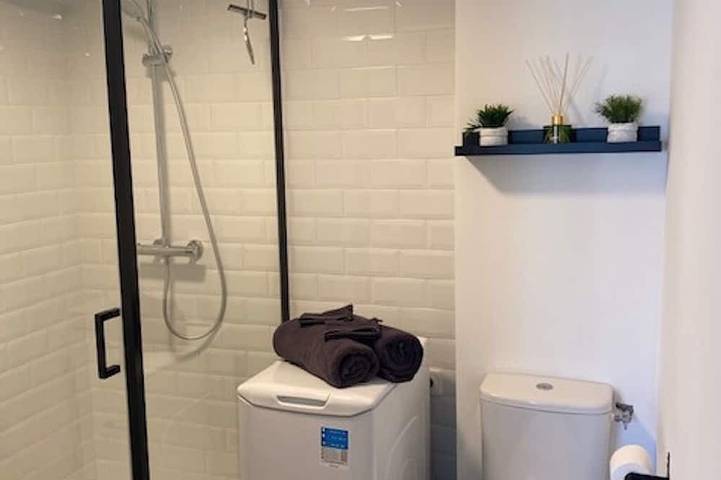 Gîte pour 3 personnes, avec terrasse et jardin à Saint-Amand-les-Eaux - 3