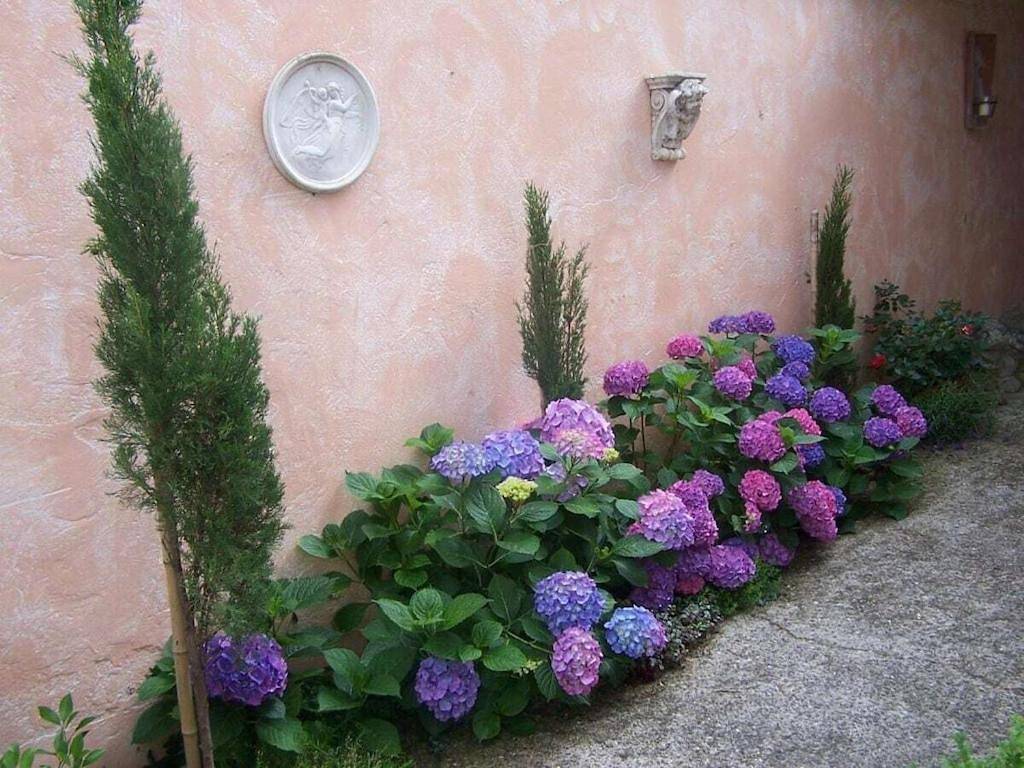 1-bedroom holiday home in Bad Dürkheim, Pfälzer Rheinebene