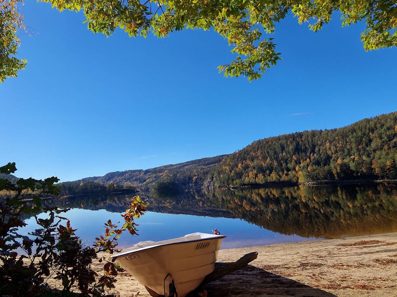 Midtholmen in Audnedal