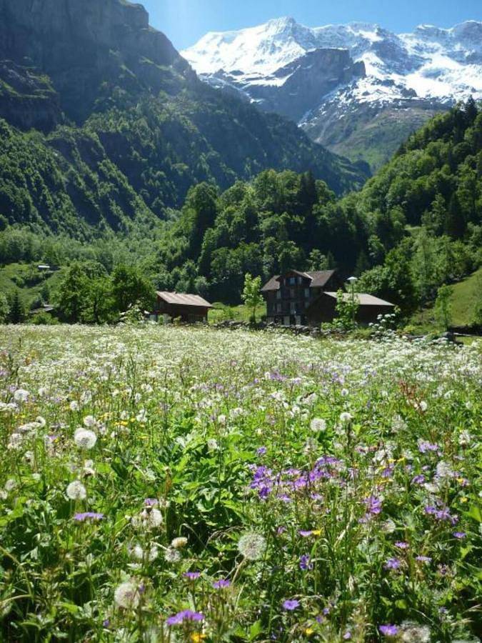 Maison d’hôte pour 4 personnes, avec terrasse à Lauterbrunnen - 4