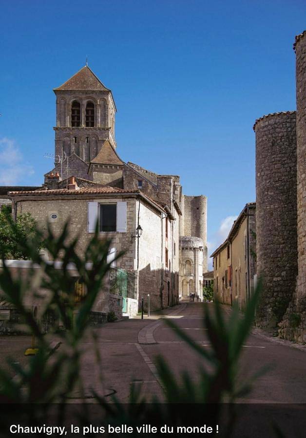 Gîte pour 4 personnes, avec jardin et vue, animaux acceptés à Chauvigny - 2