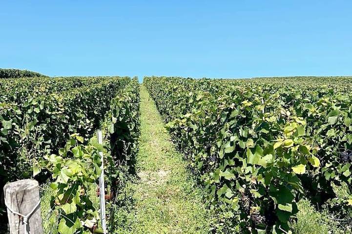 Location de vacances pour 20 personnes dans Reuil