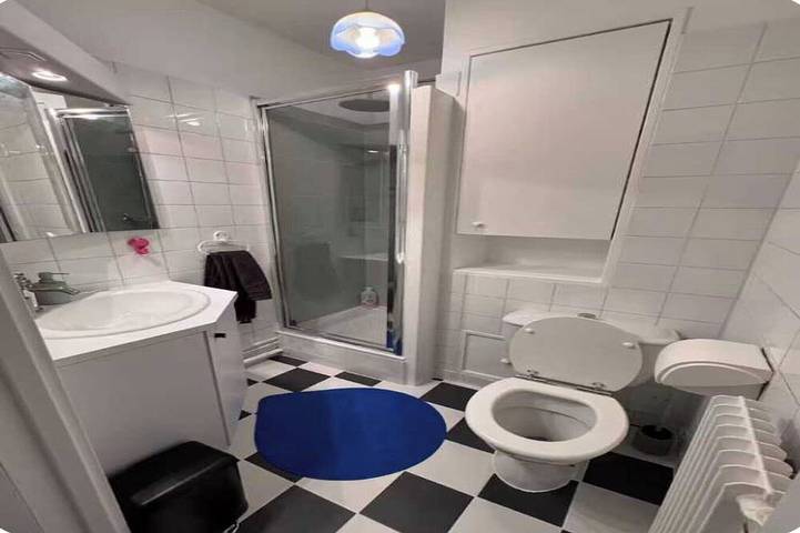Ganze Wohnung, Vintage 2P-Studio - Issy-les-Moulineaux in Issy-les-Moulineaux, Hauts-de-Seine