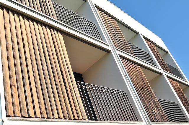 ... mein Graml - Gänseblümchen in Bad Füssing, Bayerische Golf und Thermenland