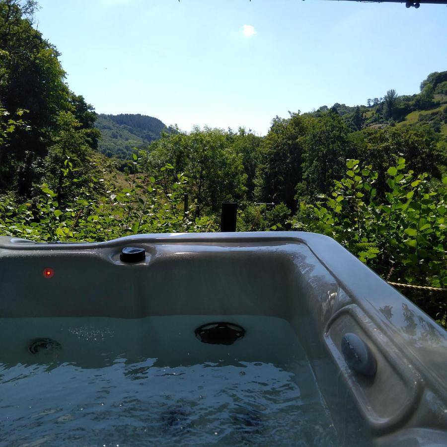 'Morris' the shepherd's hut ,woodland hot tub available, separate fee in Carmarthenshire