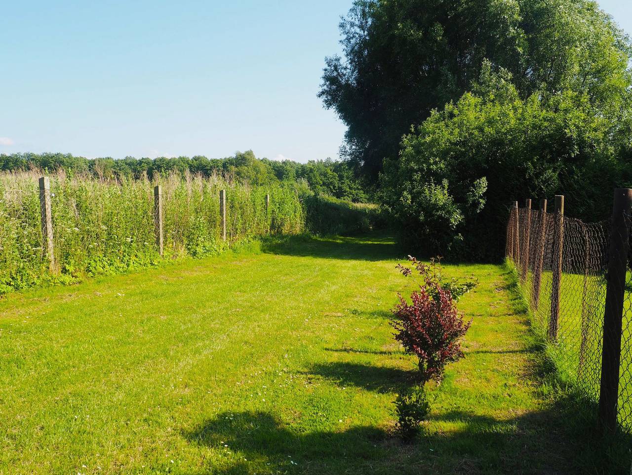 Ganze Ferienwohnung, Landferienwohnung Mohnblume in Rappin, Rügen