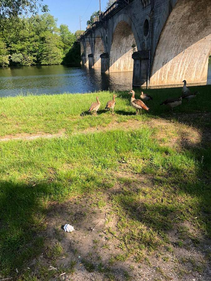 Location de vacances pour 5 personnes, avec jardin à Frouard - 4