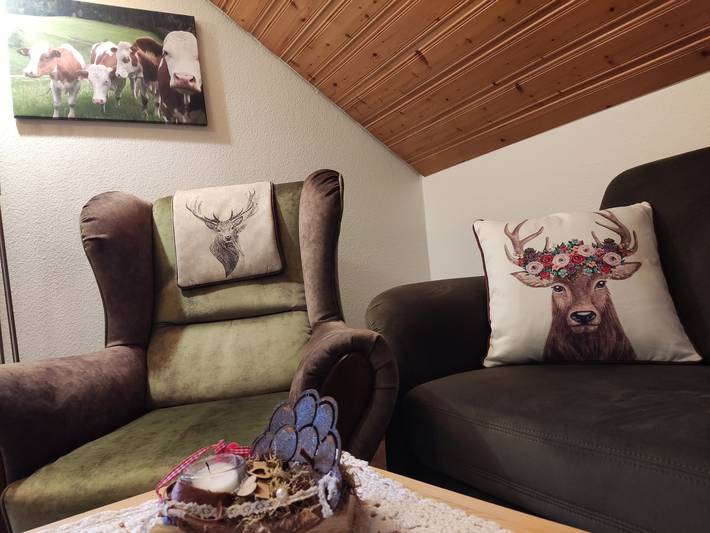 Ferienwohnung für 3 Personen, mit Garten, mit Haustier in Oberharmersbach - 3