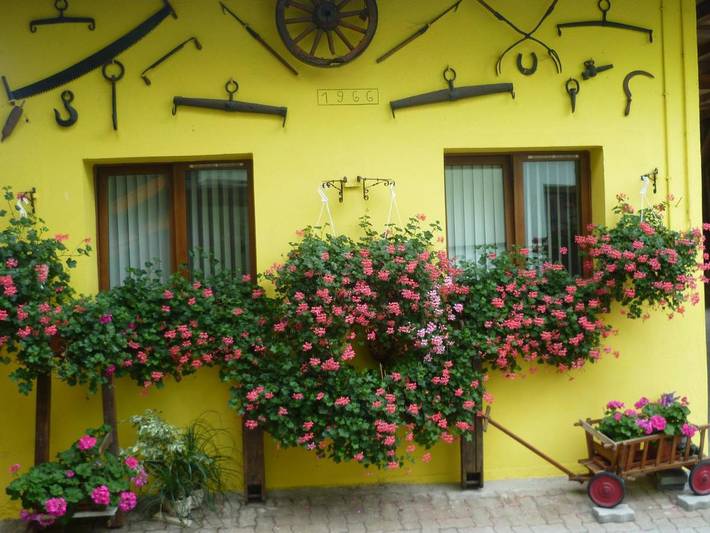 Appartement de vacances pour 2 personnes, avec terrasse et jardin