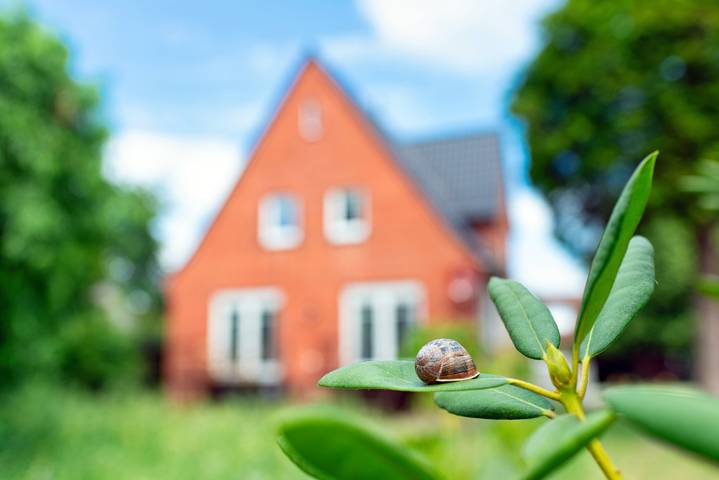 Ferienwohnung für 4 Personen, mit Garten in Lathen