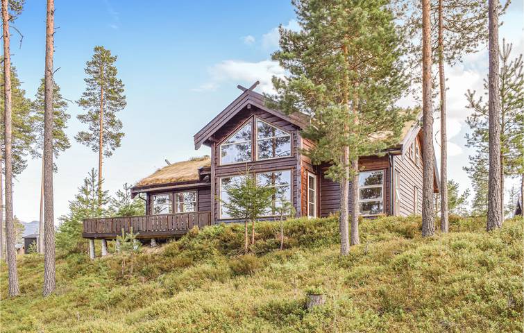 Ferienhaus für 8 Personen, mit Sauna und Terrasse in Telemark - 3