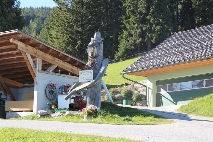 Apartamento vacacional entero, Apartment Moserkopf in Mariapfarr, Bundesland Salzburg