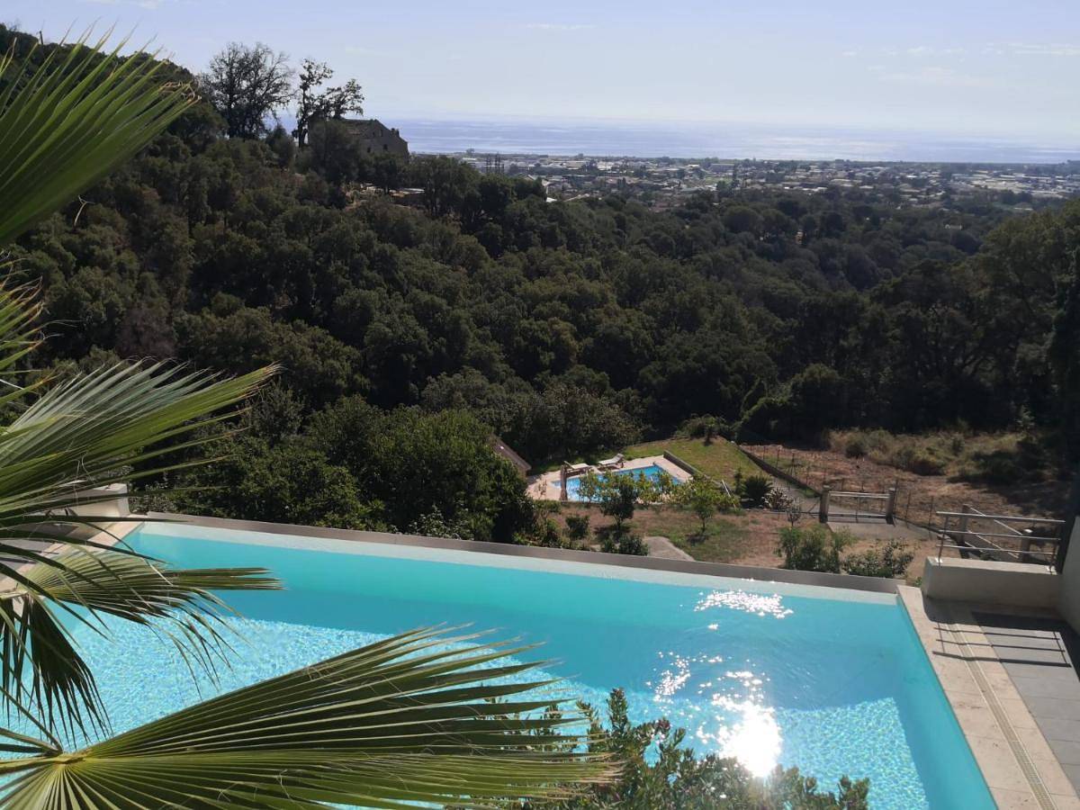 Appartement entier, Studio moderne magnifique vue sur mer dans cadre calme et verdoyant in Furiani, Cap Corse