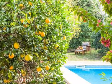 Villa in Petra (Mallorca), Mallorca Inselmitte für 12 