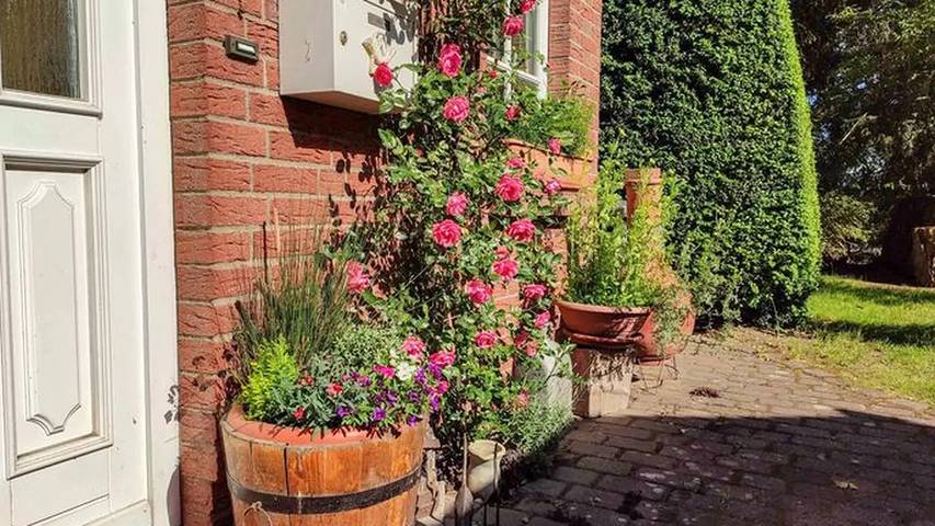 Ferienhaus für 6 Personen, mit Balkon und Terrasse sowie Garten in Göhren-Lebbin - 2