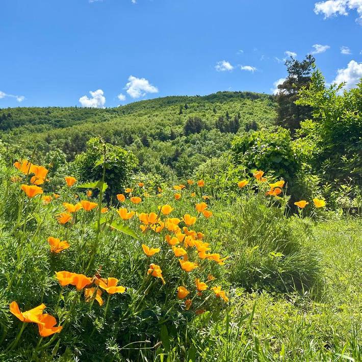 Chambre d’hôte pour 7 personnes, avec jardin ainsi que vue et terrasse en Ardèche - 2