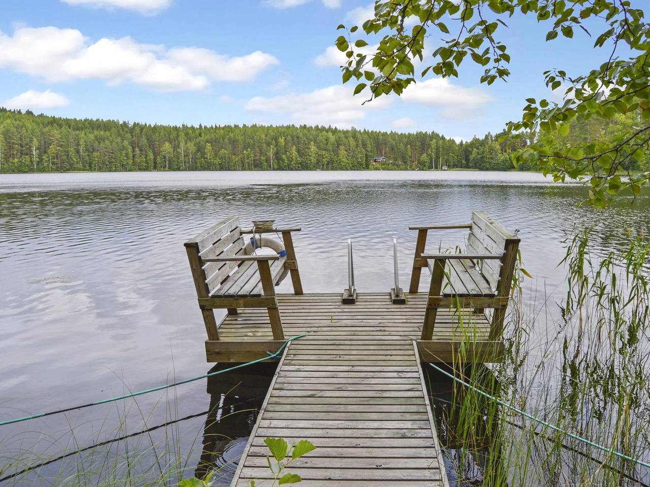 Villa käpytikka in Nordkarelien