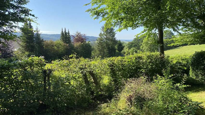 Location de vacances pour 7 personnes, avec jardin dans Beffe - 2