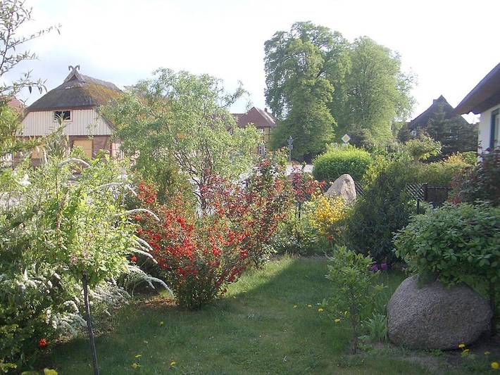 Ferienhaus für 3 Personen, mit Terrasse und Garten in Lütow - 3