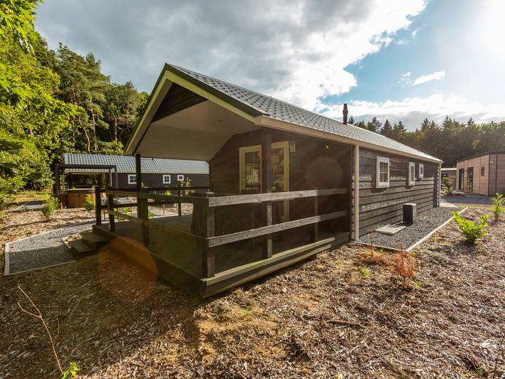 Vakantiepark voor 4 personen, with Whirlpool and Terras as well as Tuin and Zwembad in Ruinen