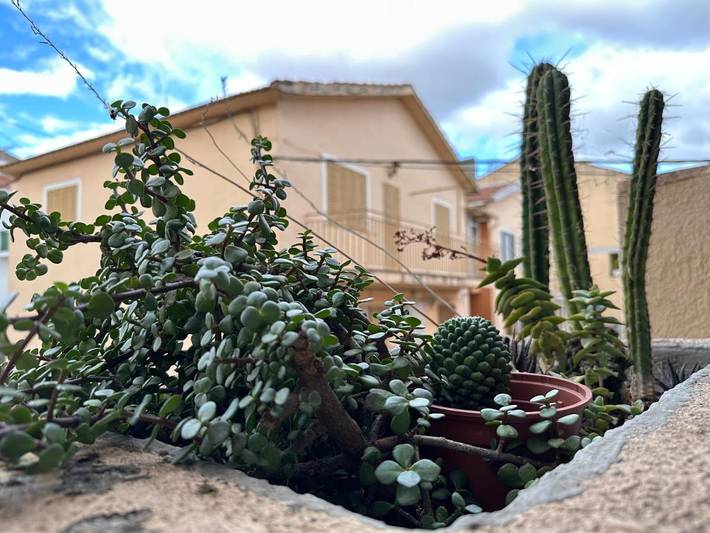 Casa de vacaciones para 12 personas, con terraza, Se admiten mascotas - 1
