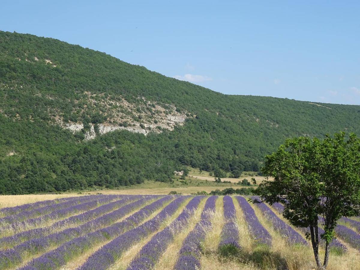 Dortoir La Guarrigue in La Rochegiron, Région de Forcalquier